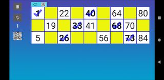 Bingo RS Cards - Screenshot 2