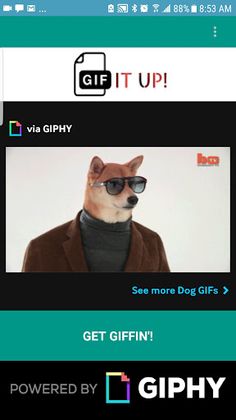 GIF IT UP! - Screenshot 1