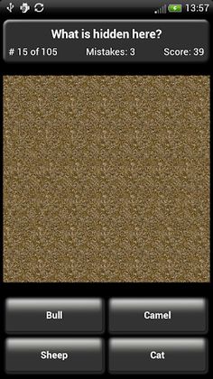 3D Magic Eye Quiz - Screenshot 3