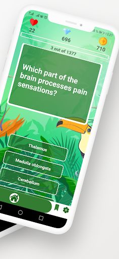 Anatomy Quiz game - Screenshot 2