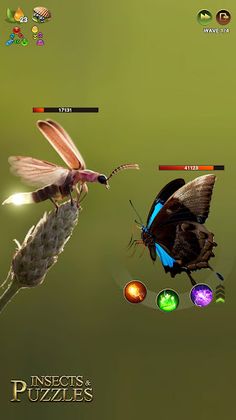 Insects Puzzles - Screenshot 4