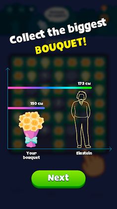 Flower Field Puzzle - Screenshot 4