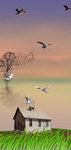 kbsDuck - Screenshot 2