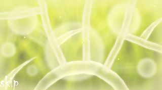 Doonaminula - Screenshot 1