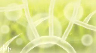 Doonaminula - Screenshot 1