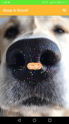 Boop A Snoot! - Screenshot 1