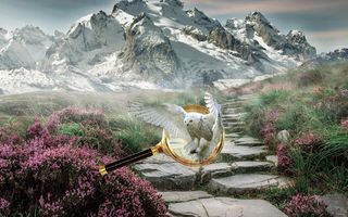 Bird Kingdom - Hidden Object - Screenshot 3
