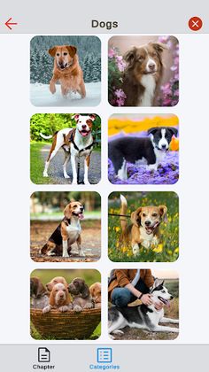 Jigsaw Puzzle -  Messy Pieces - Screenshot 1