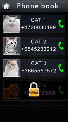 Joke Video Call to Cat - Screenshot 3
