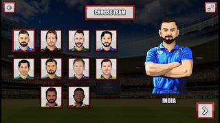 World Cup cricket championship - Screenshot 2