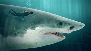 Shark Megalodon Game Puzzle - Screenshot 2