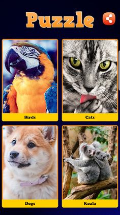 Pet World Puzzle : Animal Cros - Screenshot 1