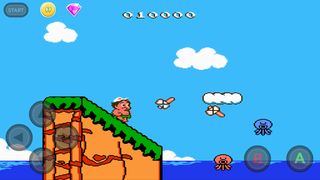 Adventure Island 2 - Screenshot 2