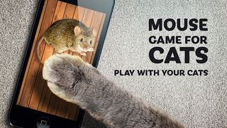 Mouse game toy for cats - Screenshot 1