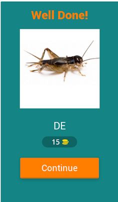 Đoán tên động vật TV - Screenshot 2