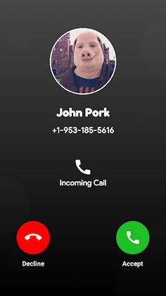 John Pork Chat Video Call - Screenshot 2