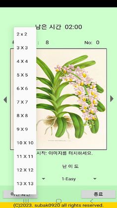 ttpuzzle08a - Screenshot 3