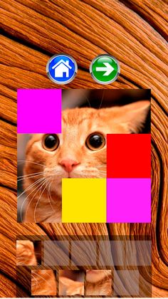 Cats - Puzzle - Jigsaw - Screenshot 1