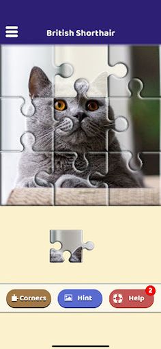 British Shorthair Puzzle - Screenshot 1