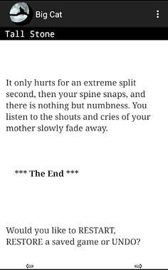 Big Cat - A Text Adventure Gam - Screenshot 2