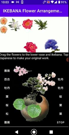 FlowerArrangement_01 - Screenshot 2