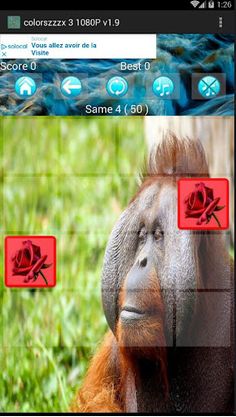 Colorszzzx 3 1080P - Screenshot 3