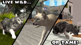 Ultimate Cat Simulator - Screenshot 3