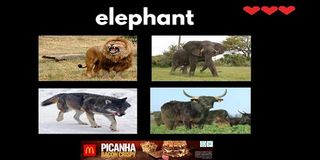 Play Language - Screenshot 2