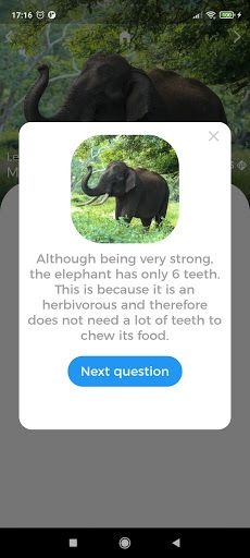 Animals Quest - Fun Quiz - Screenshot 3