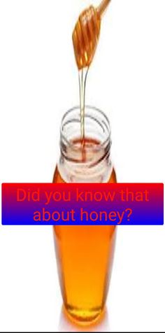 interesting facts - Screenshot 1