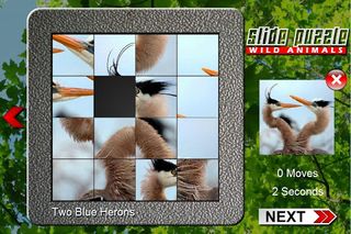 Slide Puzzle Wild Animals - Screenshot 2