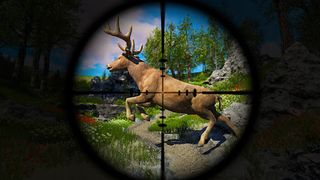Animal hunting :Shooting Games - Screenshot 2