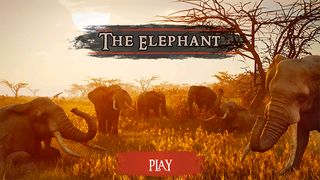 The Elephant - Screenshot 2