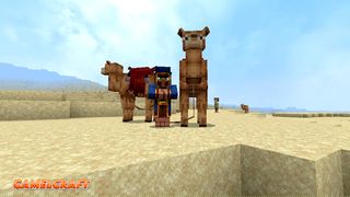 Camel Craft - Screenshot 1