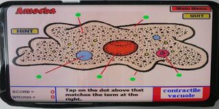 Label that Diagram - Cells - Screenshot 3