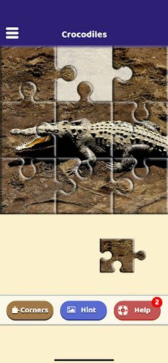 Crocodile Lovers Puzzle - Screenshot 1