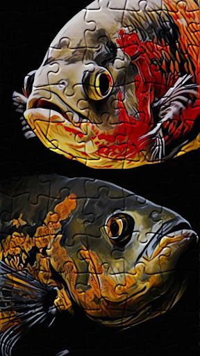 Oscar Fish Jigsaw Puzzle - Screenshot 2