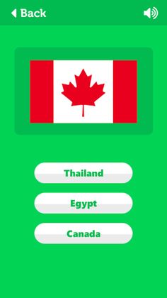 Guess The Flag - Screenshot 3