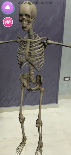 AR Augmented reality Anatomy - Screenshot 3