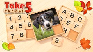 Take 5 Puzzle - Screenshot 1
