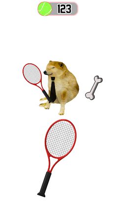 Cute Cat Meme Tennis - Screenshot 1
