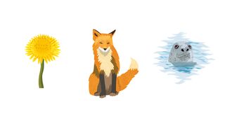 CL-AR - Screenshot 1