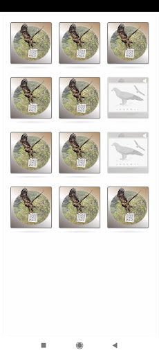 Águia-imperial-ibérica - Screenshot 3