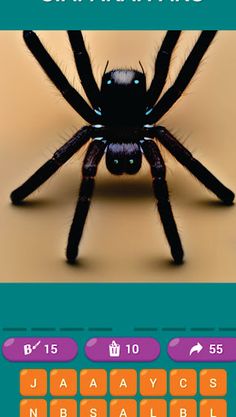 TEBAK NAMA BINATANG - Screenshot 2