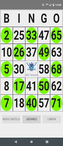 Bingo ARJ - Screenshot 4