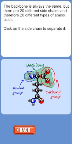 Amino Acids Match Game - Screenshot 1