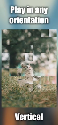 Collect the picture - Mosaic - Screenshot 2