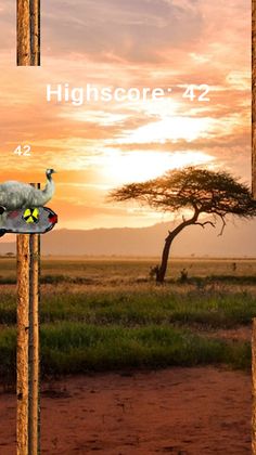 Emu Rocket African Safari Ride - Screenshot 2