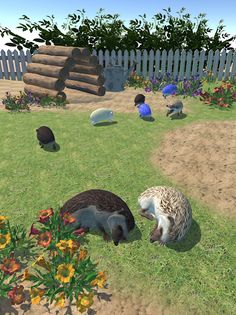 Hedgehog Friends - Screenshot 4
