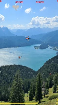 Mosquito Catcher - Screenshot 2